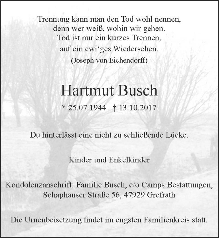 Hartmut Busch