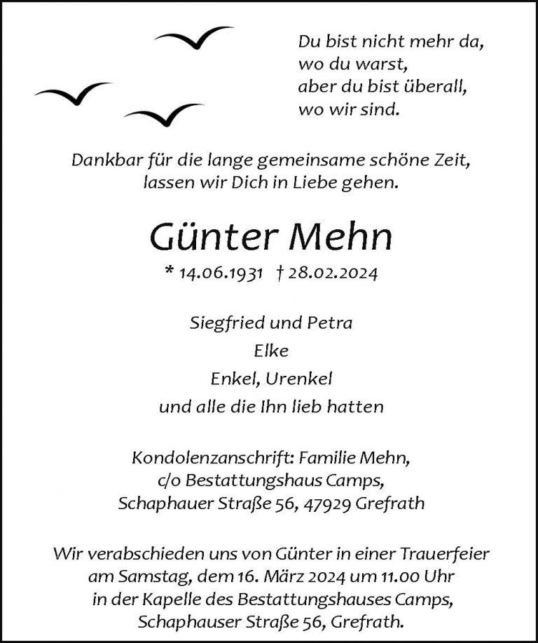 Günter Mehn